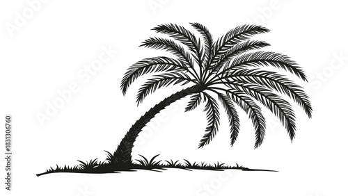 Palm Tree Silhouette Vector