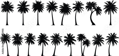Collection of tropical palm tree silhouettes in various natural shapes and angles, detailed vector illustration for beach scenery, summer landscape design, and exotic nature themes