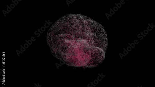 Human brain mental health 3d wireframe animation