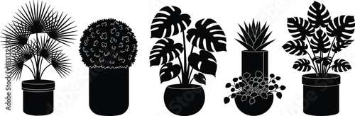 Indoor potted plant silhouette vector illustration set with tropical leaves, botanical shapes, decorative home greenery icons, stylish black plant design elements