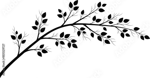 Elegant leafy tree branch silhouette with delicate twigs and natural foliage, decorative vector illustration for design elements, botanical artwork, nature themed graphics
