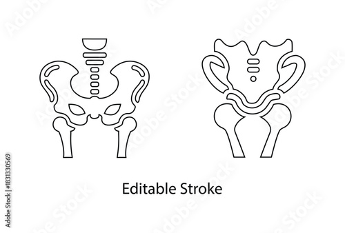 human pelvic bone icon editable stroke vector set, pelvis icon, hip joint vector line icon illustration