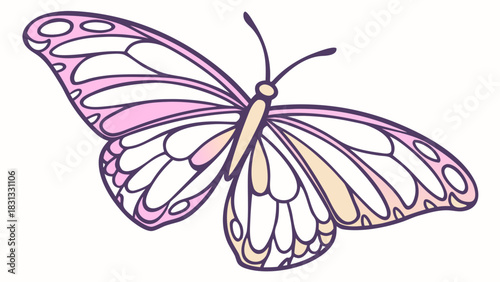 Isolated white background image of a colorful butterfly insect with beautiful wings