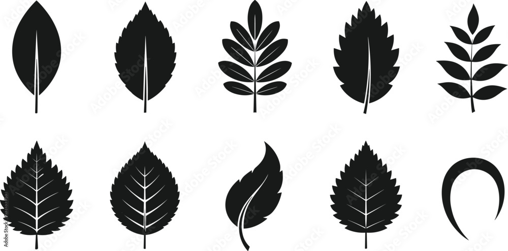 Fototapeta premium Set of Black Silhouette Leaf Vector Icons Illustrating Different Foliage Shapes, Including Simple and Compound Leaves, for Nature and Ecology Design