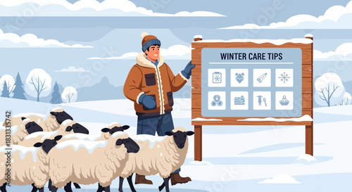 Illustrative winter sheep care guide for farmers and animal husbandry