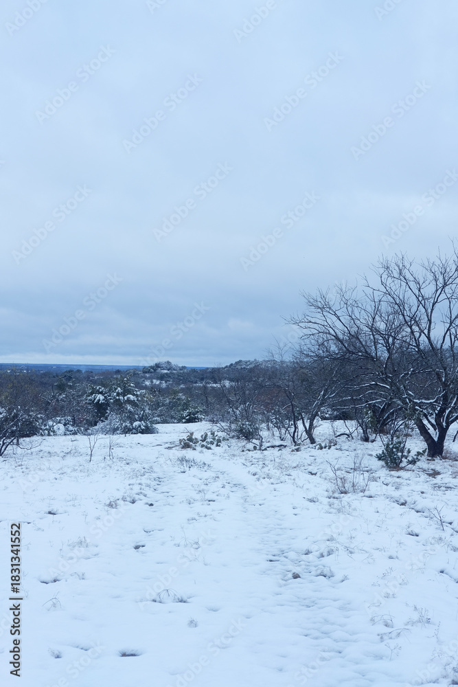 Naklejka premium Texas winter landscape with snow weather in vertical view, calm and peaceful scenery