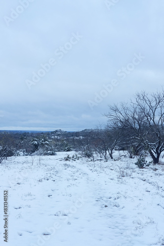 Texas winter landscape with snow weather in vertical view, calm and peaceful scenery
