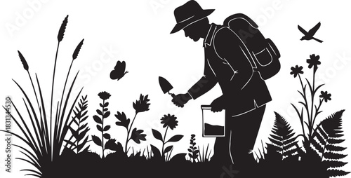 Silhouette of botanist or ecologist collecting plant sample in field