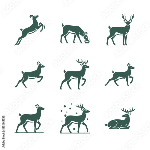 Nine line art icons of wild predators and carnivorous animals, featuring tiger, wolf, eagle, and bear vector set.