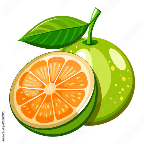 pomelo  on white background