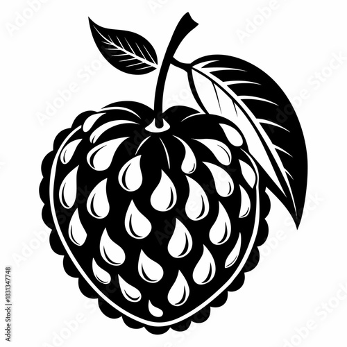 true medlar silhouette fruit on white