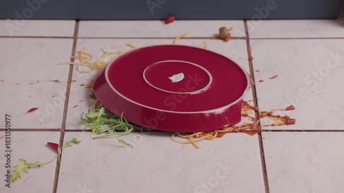 Pasta plate hitting the floor breaking