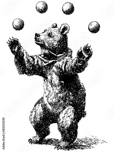Vintage engraving of a circus bear juggling on a tightrope, detailed retro etching vector illustration on transparent background.