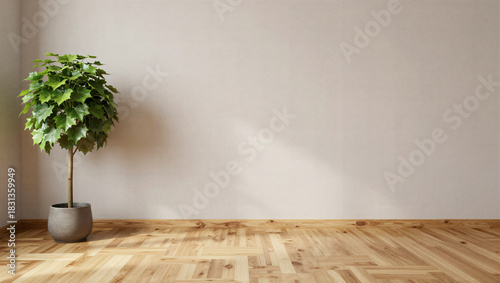 Interior design inspiration modern indoor plant decoration in minimalist living room with natural light