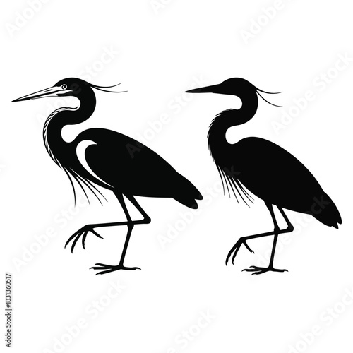 heron on a white background