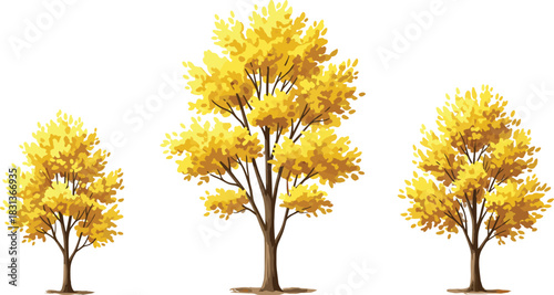 Set of three detailed vector tree illustrations with bright yellow autumn foliage, representing seasonal changes, parkland, landscape architecture, or beautiful nature environment assets.