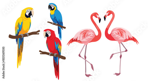 A vibrant collection of exotic tropical birds featuring three colorful macaw parrots and a pair of pink flamingos in love.