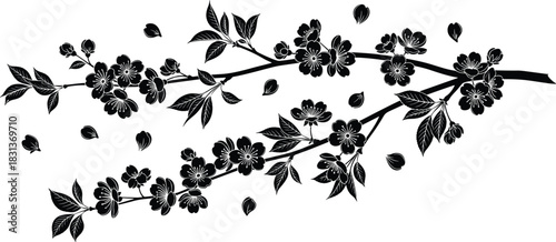 Black cherry or almond blossom branch vector silhouette, featuring flowers, leaves, and falling petals, representing spring, nature, decoration, or Japanese art motif on a clean background.