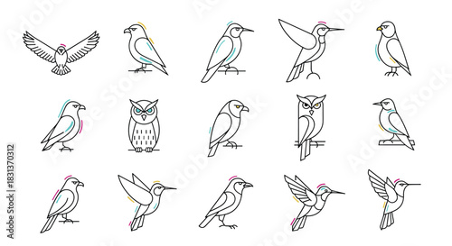 Set of various line art bird icons with colorful details on a white background.