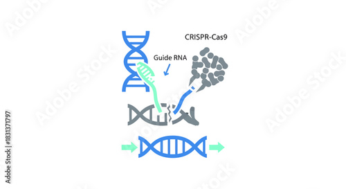 CRISPR-Cas9 gene editing technology for scientific research and medical innovation promises revolutionary treatments, a symbol of hope for future cures