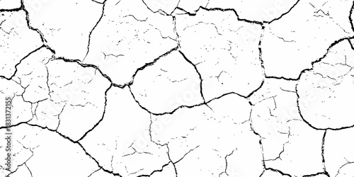 black and white dust and cracked concrete wall Texture pattern design element white background.
