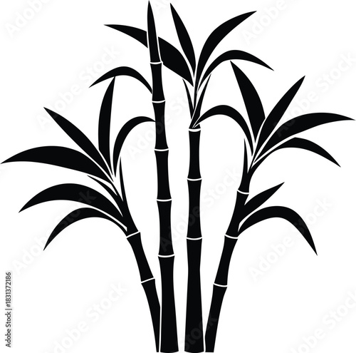 Sugarcane plant silhouette vector illustration
