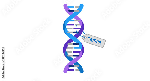 CRISPR gene editing concept with DNA strand, showcasing biotechnology research and genetic engineering innovation in healthcare and science