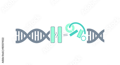 Cutting-edge DNA repair concept showing molecular biology with advanced genetic engineering for genome editing and biotechnology advancements