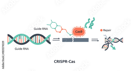 CRISPR-Cas9 gene editing technology illustration, representing genetic engineering and DNA repair, showcasing scientific advancement and innovative research