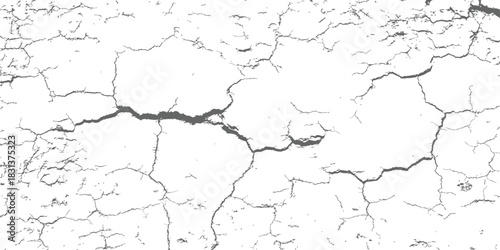 Black and white grunge crack texture overlay background Abstract distress effect vector graphic resource for vintage design