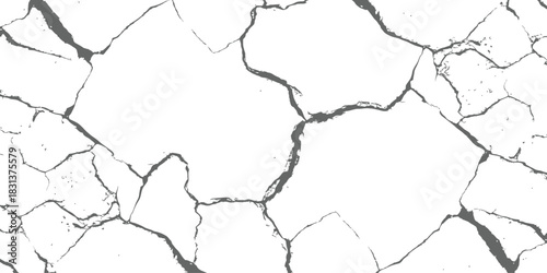 Seamless Cracked Grunge Texture Vector Distressed Pattern Abstract Fissures on White Background