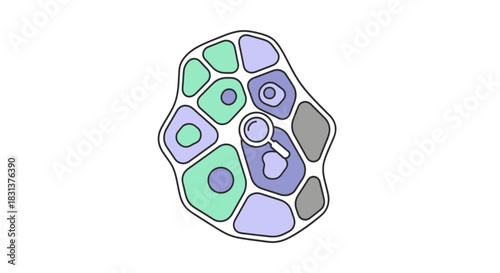 Explore cellular biology with magnifying glass for scientific discovery in laboratories and educational purposes, study life processes, cell structures