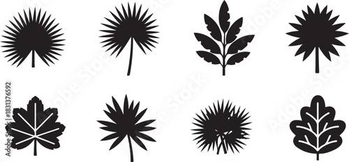 Silhouettes of Assorted Leaf Shapes, Tropical and Standard