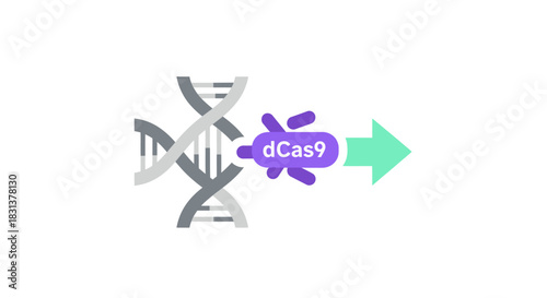 Innovative CRISPR gene editing with dCas9 enzyme and DNA sequence targeting for advanced genetic research and medical breakthroughs, moving forward