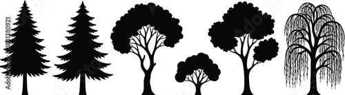 Tree silhouette clipart, black vector trees, nature icons, forest design elements, botanical graphics, landscape illustration, species comparison, white background