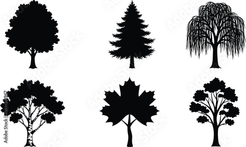 Tree silhouette clipart, black vector trees, nature icons, forest design elements, botanical graphics, landscape illustration, species comparison, white background