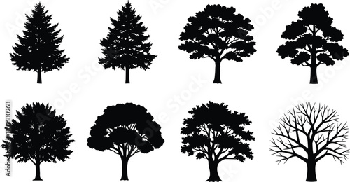 Tree silhouette clipart, black vector trees, nature icons, forest design elements, botanical graphics, landscape illustration, tree species comparison, white background