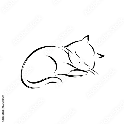 Simple Line Drawing of a Sleeping Cat Curled Up