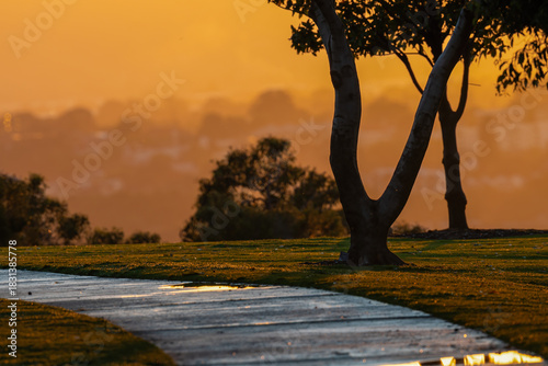 Sunrise at Kings Park, Perth, Western Australia. 