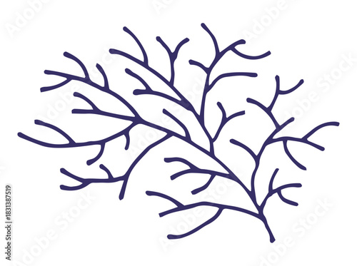 Organic Branching Coral Inspired Structure