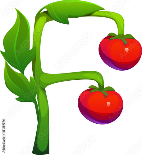 Letter F agriculture typeface as cartoon tomato vegetable plant. Vector farm font, harvest type, funny English alphabet character as ripe healthy veggie with ripe red tomatoes. Abc for kids learning