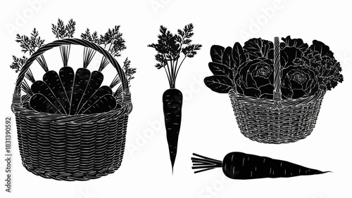 Vintage Vegetable Harvest - Carrots and Greens in Wicker Baskets.