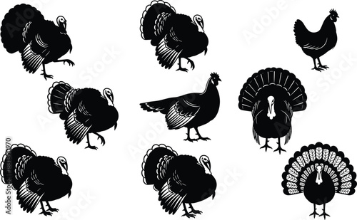 Black Vector Illustrations of Wild and Domestic Turkeys, Detailed Male Gobbler Displaying and Hen Icons, Poultry and Thanksgiving Graphic Design Collection, Isolated on White Background.