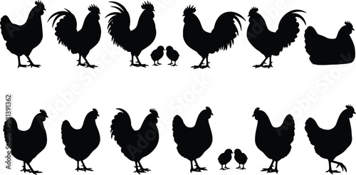 Black Vector Silhouettes of Farm Chickens and Roosters, Detailed Hen and Rooster Icons with Baby Chicks, Poultry Collection for Agriculture Design, Isolated on White Background.