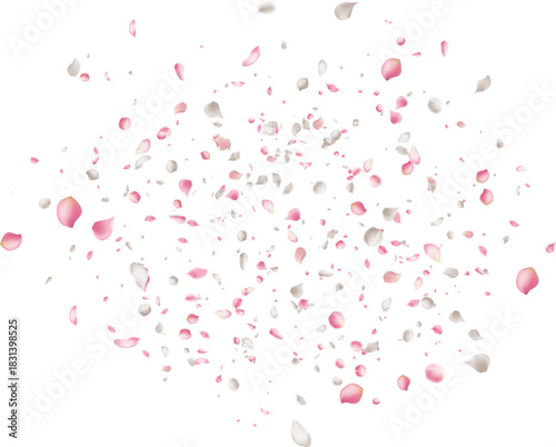 Pink Sakura petal overlay Motion blur Soft shadows Ideal for sweet floral perfume advertising or spring cosmetic packaging  feminine design