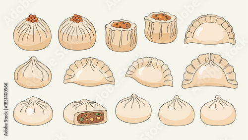 A delicious assortment of hand-drawn traditional Asian dumplings and dim sum.