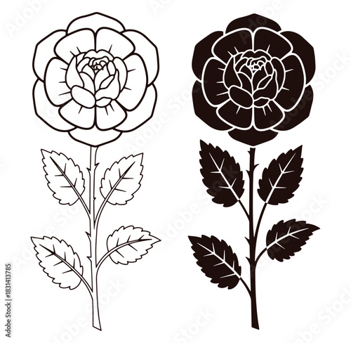Elegant outlined rose flowers on stems with leaves in black and white design elements