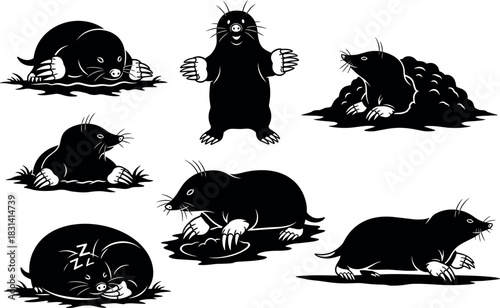 flavector cartoon mole illustrations in playful poses sleeping crawling standing and digging black vector character set