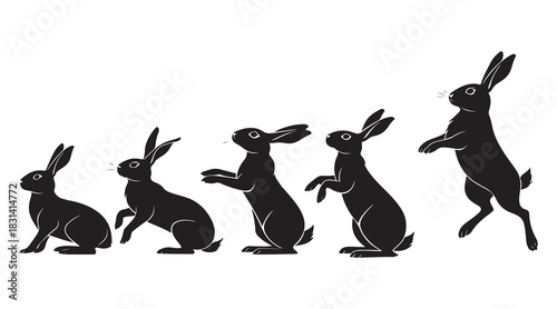 Rabbit jump sequence silhouette Vector