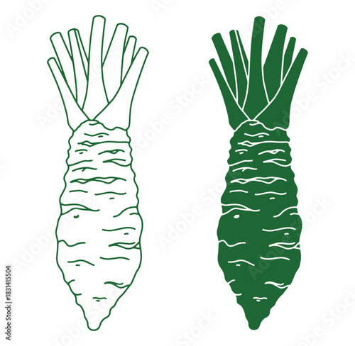 Minimalist green vector illustrations of fresh wasabi root with leaves isolated on white